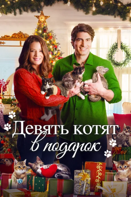 Девять котят в подарок — постер