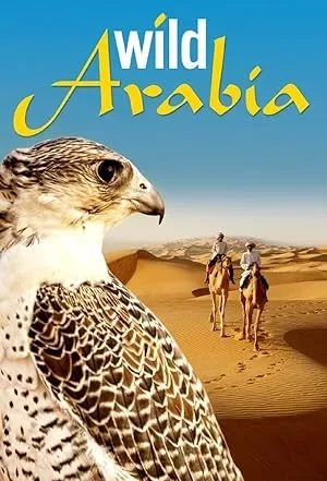 Дикая Аравия — постер