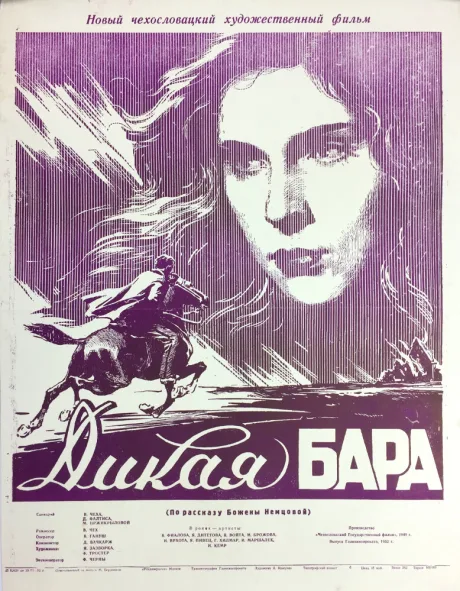Дикая Бара — постер