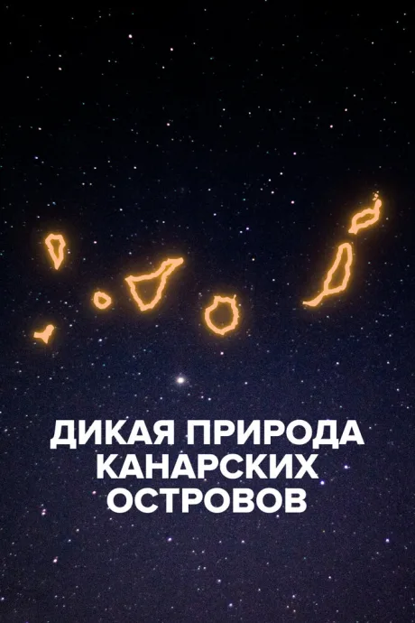 Дикая природа Канарских островов — постер