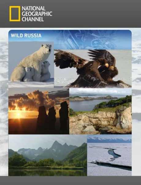 Дикая природа России — постер