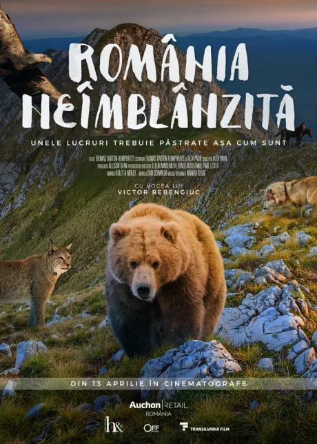 Дикая Румыния — постер