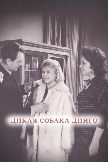 Дикая собака динго — постер