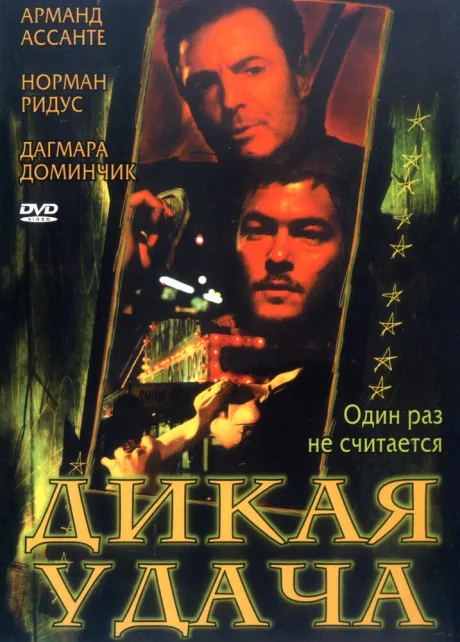 Дикая удача — постер