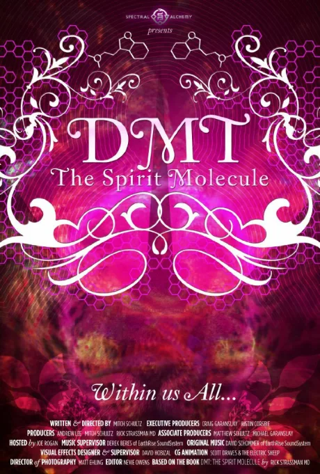 ДМТ: Молекула духа — постер