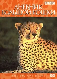 Дневник большой кошки — постер