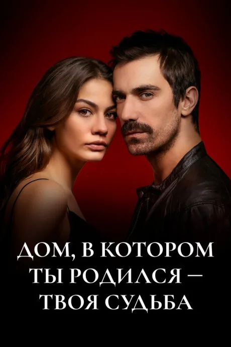 Дом, в котором ты родился – твоя судьба — постер