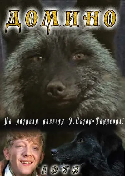 Домино — постер