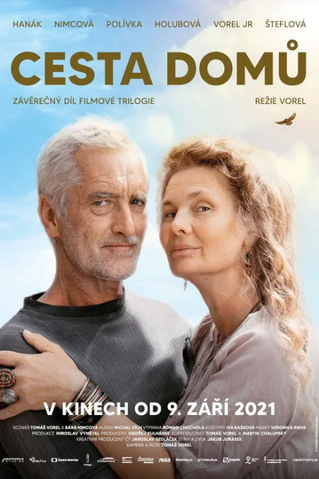 Дорога домой — постер