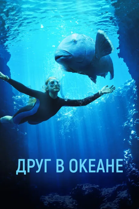 Друг в океане — постер