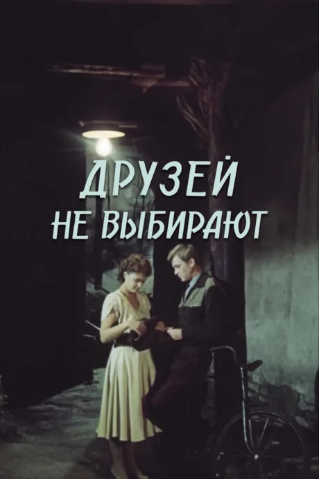 Друзей не выбирают — постер