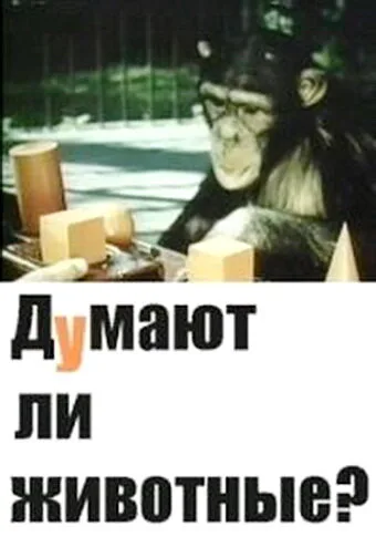 Думают ли животные? — постер