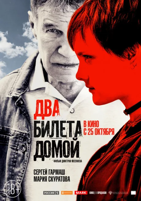Два билета домой — постер