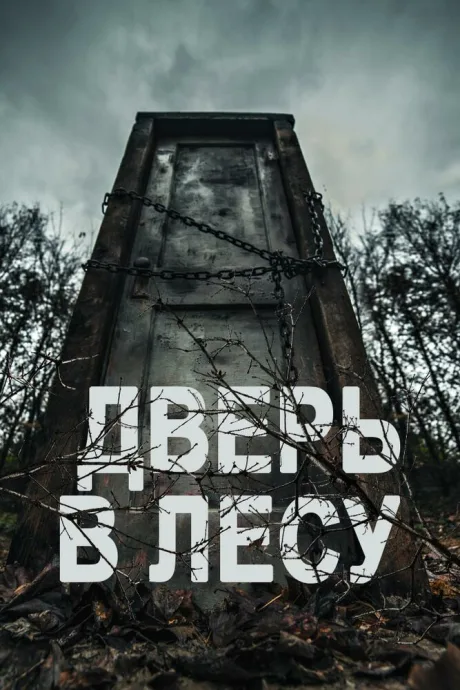 Дверь в лесу — постер