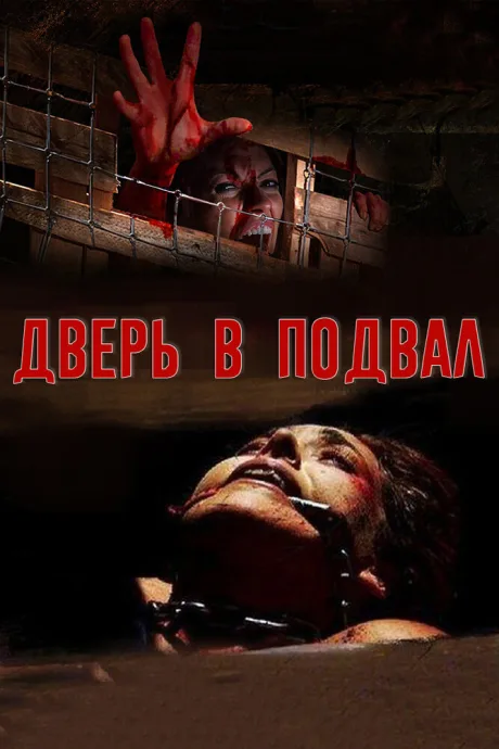 Дверь в подвал — постер