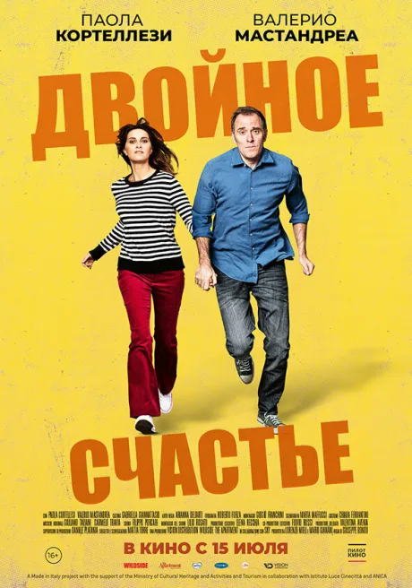 Двойное счастье — постер