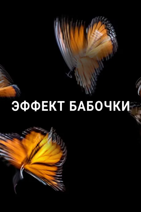 Эффект бабочки — постер