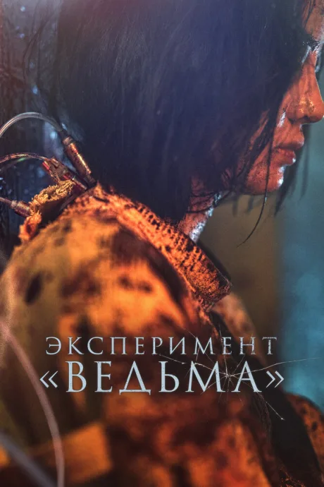 Эксперимент «Ведьма» — постер