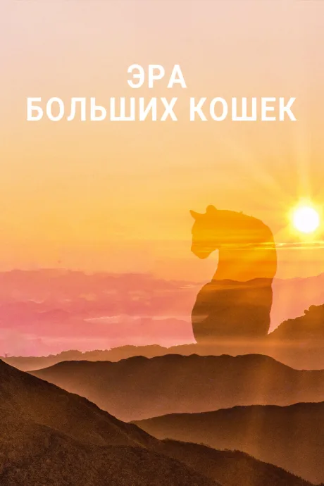 Эра больших кошек — постер