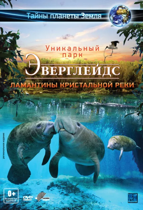 Эверглейдс 3D: Ламантины Кристальной реки — постер