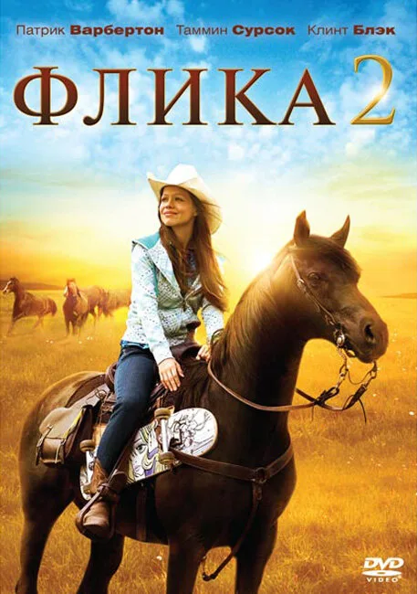 Флика 2 — постер