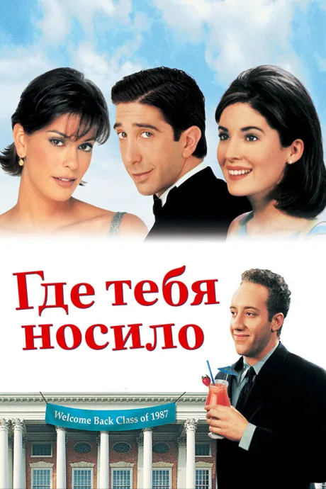 Где тебя носило — постер