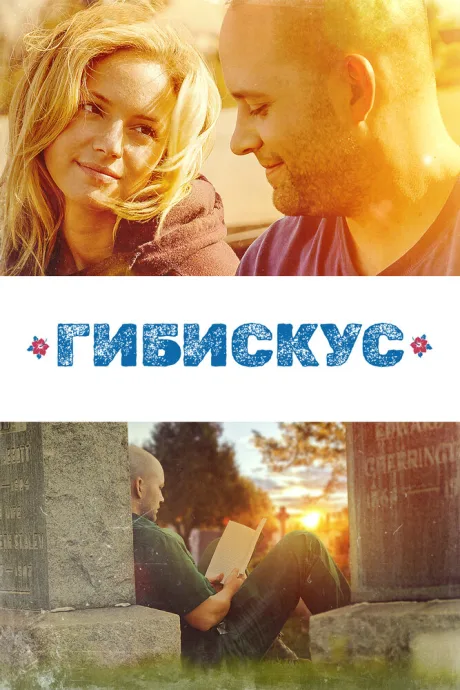 Гибискус — постер