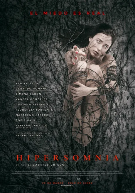 Гиперсомния — постер