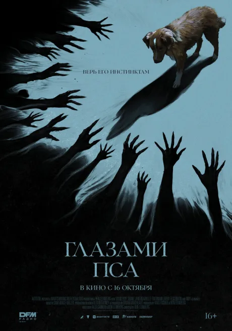 Глазами пса — постер