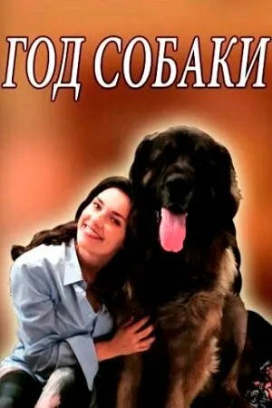 Год собаки — постер
