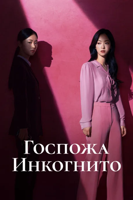 Госпожа Инкогнито — постер