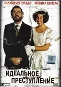 Идеальное преступление — постер