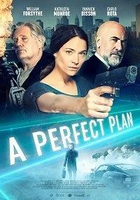 Идеальный план — постер