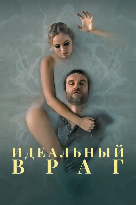 Идеальный враг — постер
