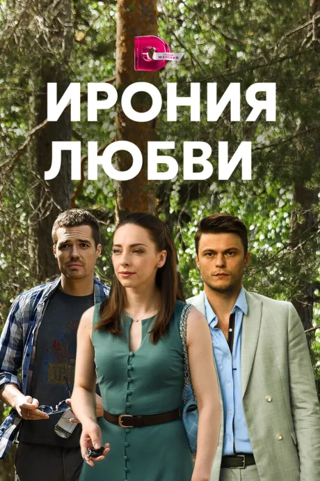 Ирония любви — постер