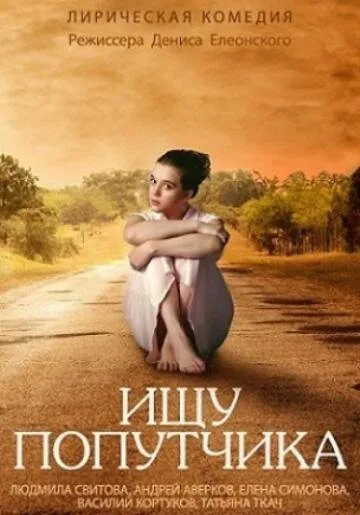 Ищу попутчика — постер