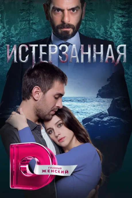 Истерзанная — постер