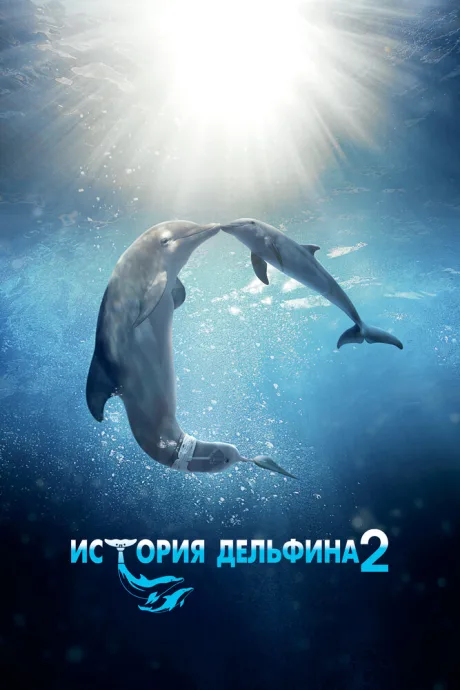 История дельфина 2 — постер