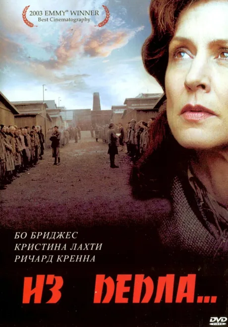 Из пепла — постер