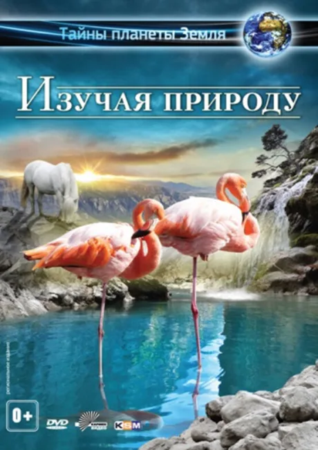 Изучая природу 3D — постер