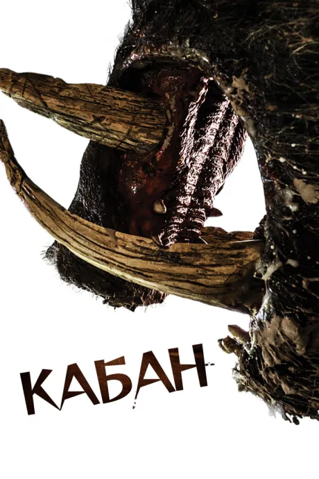 Кабан — постер