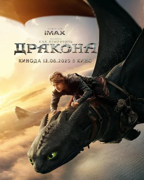 Как приручить дракона — постер