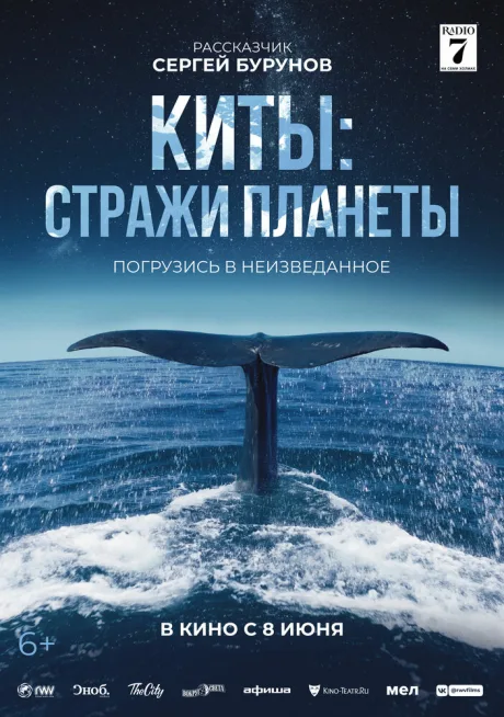 Киты: Стражи планеты — постер