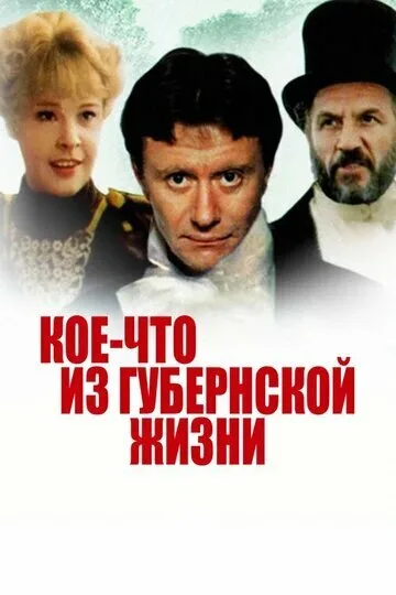 Кое-что из губернской жизни — постер