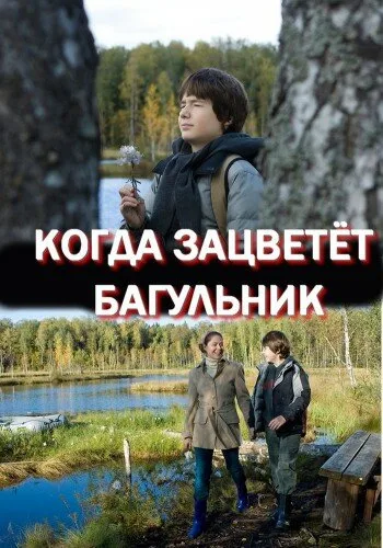 Когда зацветёт багульник — постер