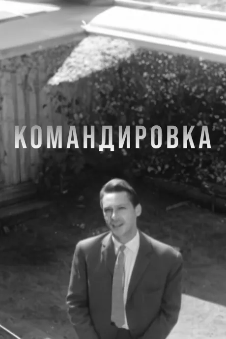 Командировка — постер