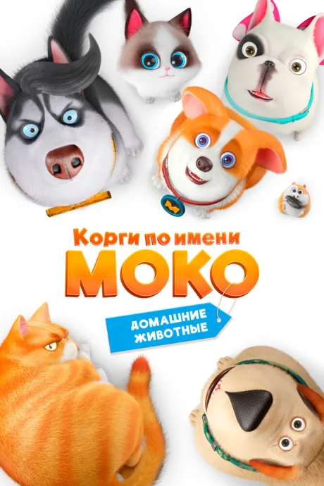 Корги по имени Моко. Домашние животные — постер
