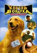 Король воздуха: Седьмая подача — постер