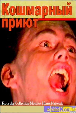 Кошмарный приют — постер
