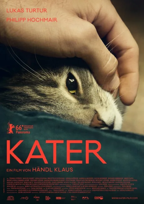 Кот — постер